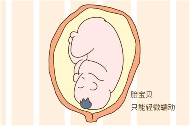 四个月的胎儿会动吗？这三个方面不可不知，准妈妈可要注意了