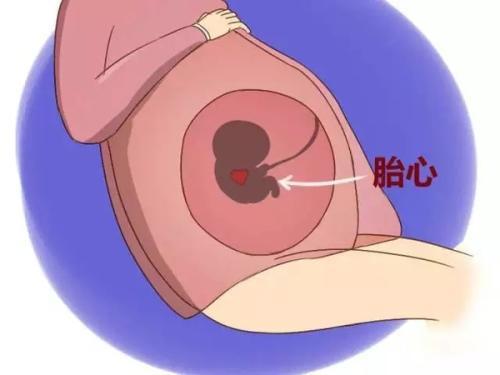 怀孕多久有胎心胎芽？长胎芽时孕妇有感觉吗？这10个感觉你一定有