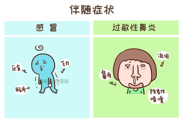 6张图告诉你，过敏性鼻炎和感冒有什么区别