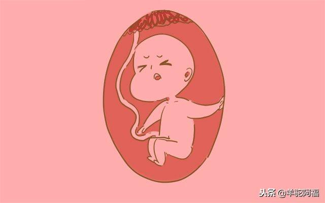 孕妈出现这种感觉，说明胎儿饿了，要赶紧吃东西