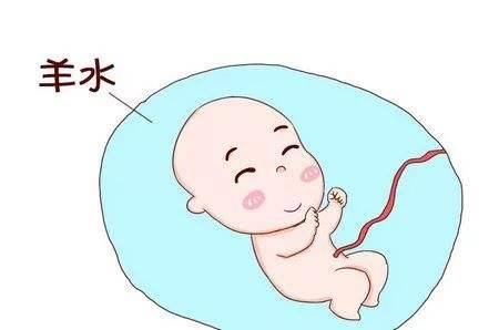 胎儿最怕羊水浑浊，孕妇该如何预防？做好这4个工作预防羊水浑浊