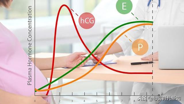 孕期除了呕吐还便秘？做到这5点预防和减轻孕期便秘问题