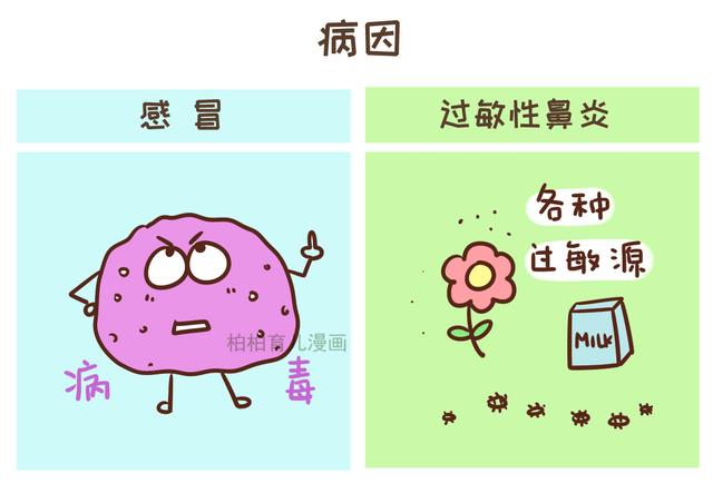 6张图告诉你，过敏性鼻炎和感冒有什么区别