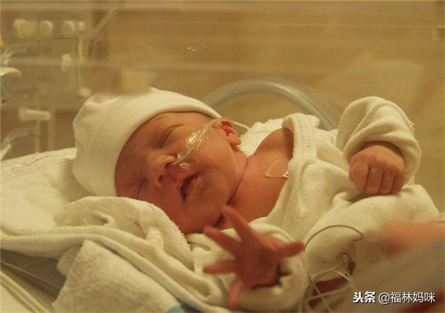 早产儿出院后怎么护理？这3点很关键，护理的好孩子更健康！