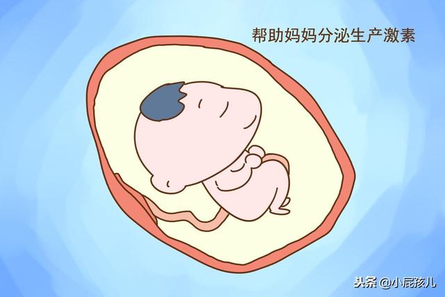 孕妈阵痛时胎宝在做什么？生宝宝时，原来努力的不止你自己