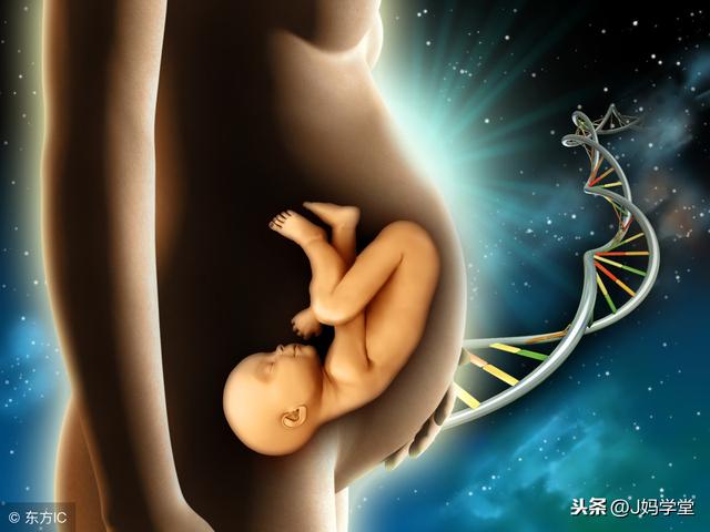 胎儿在妈妈的子宫内都做什么呀？太有意思了，孕妈妈来看看吧
