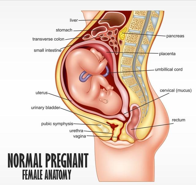 怀孕37周，胎儿喜欢往上跑顶着孕妇的胃，原来是这5个原因