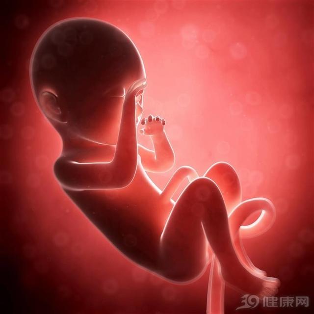 美国研究：胎盘百害而无一利！乱吃，很有可能会致癌