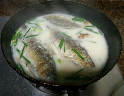 用“鲫鱼”煮汤时，没注意“加水”这一步，难怪汤不白还腥！