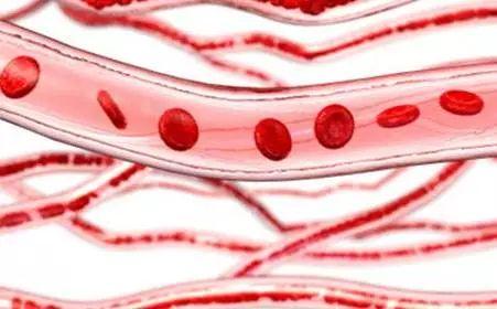 不是所有“O”型血都会新生儿溶血