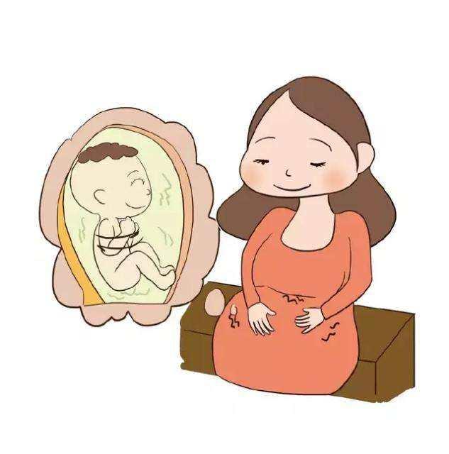 怀孕6个月胎儿有哪些动静？仅仅是胎动吗？这7个动静更有意思