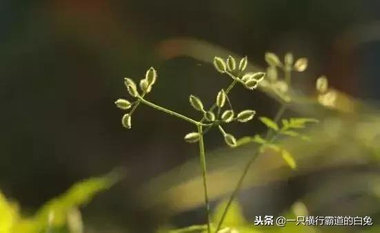 世间有十恩，恩恩须铭记