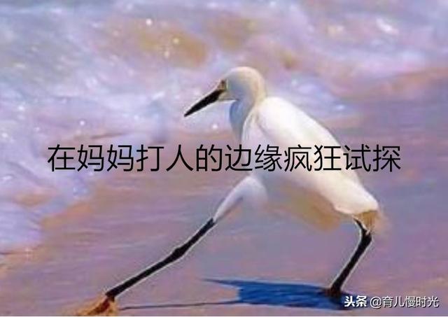 胎宝宝在妈妈肚子里学的八种技能,受用终身