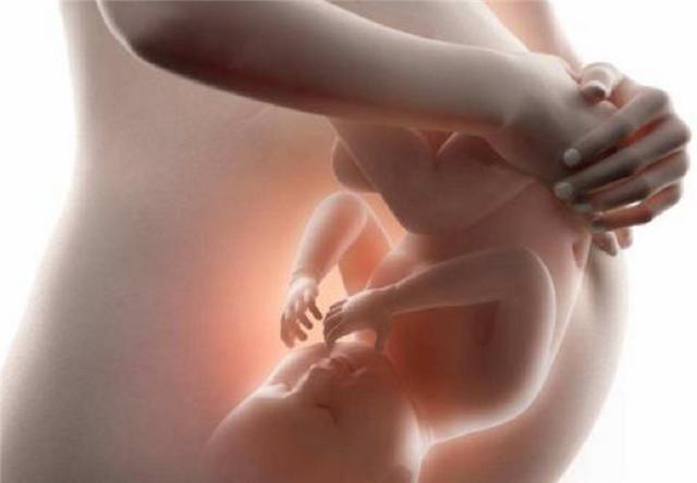 宝宝在妈妈肚子里时就有记忆?看了之后,网友:好神奇!