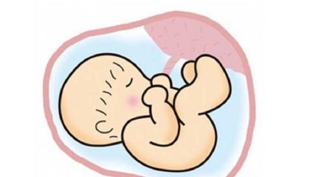 宝宝在妈妈肚子里时就有记忆?看了之后,网友:好神奇!