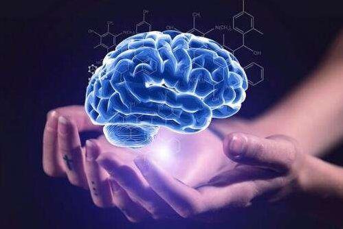 21世纪是右脑时代，4种右脑开发小方法，助力宝宝更上一层楼