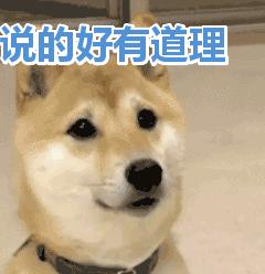 哪个道理,几年前你不懂,现在懂了!