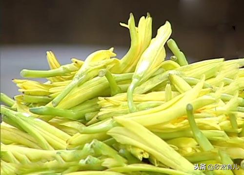 怀孕要忌口，遇到这四类蔬菜，孕妈一定要小心
