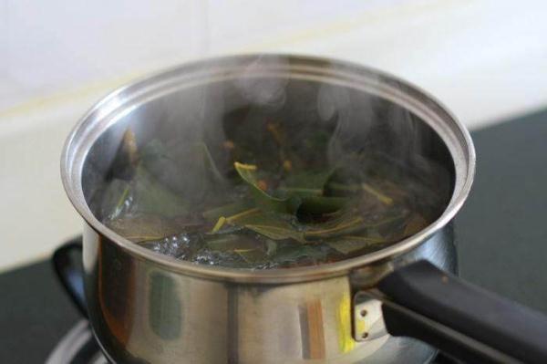 村里的枇杷树,果子好吃,叶子止咳,只要几片煮,化痰止咳