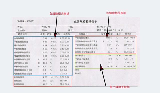 儿科医生说：宝宝的验血报告很重要！这3个指标爸妈要会看