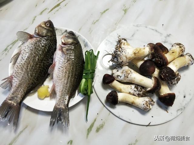 鲫鱼菌菇汤这样做鲜掉眉毛，只要注意这几点，汤汁奶白，鲜美好喝