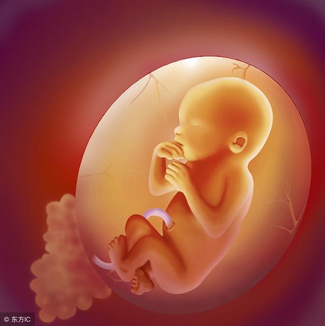 6个月的胎儿长什么样子？准妈妈身体有什么变化？看后觉得好神奇