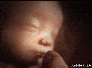 产检时彩超医生检查到一半笑喷了，看不出这小家伙还是个老司机啊