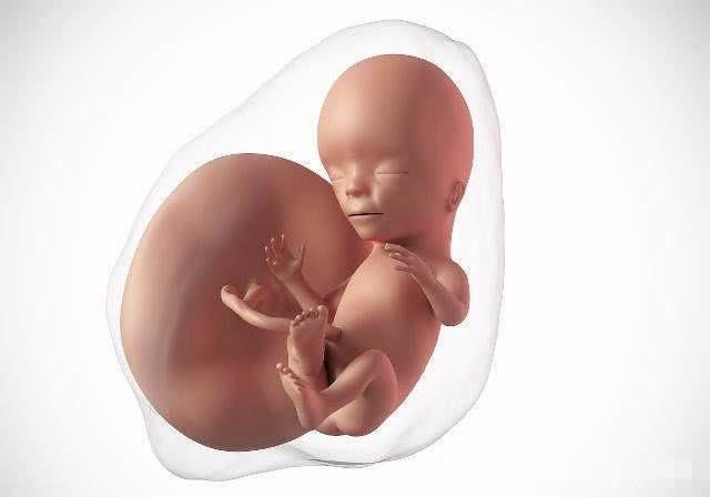 孕妇在这3个“时间点”喝水，羊水会更好，胎儿也会更健康！