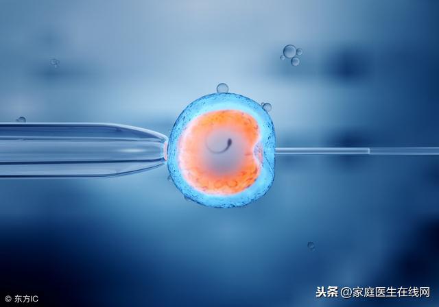 卵子质量是“好孕”的前提，这5种食物，女性朋友应该多吃