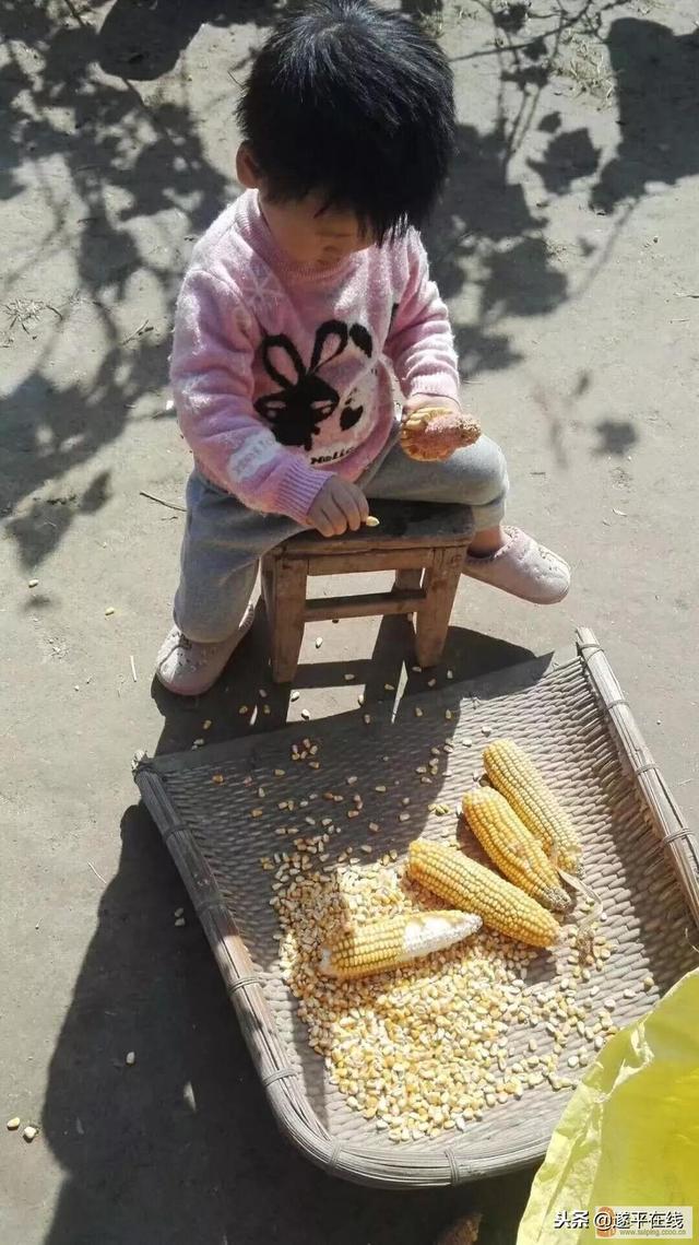出门在外打工的遂平人，请赶快回家吧！有急事……