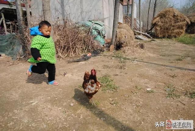 出门在外打工的遂平人，请赶快回家吧！有急事……