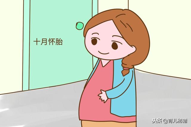 我的宝贝,你来的那天不早不晚,一切都是刚刚好的样子