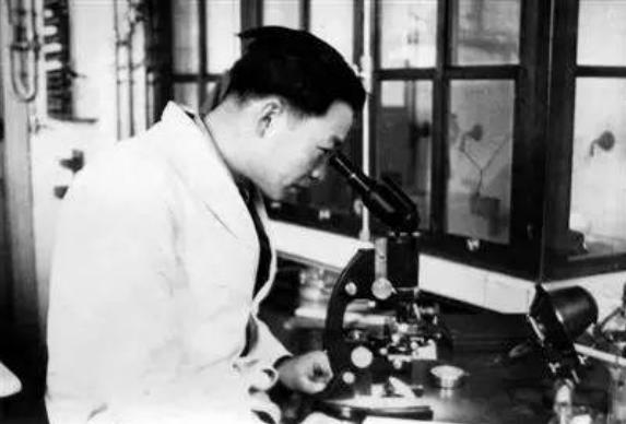 读书时被同学取的外号，长大后名震中外，他的原名却无人知晓