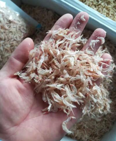 你以为给孩子吃的是虾皮，实际是……