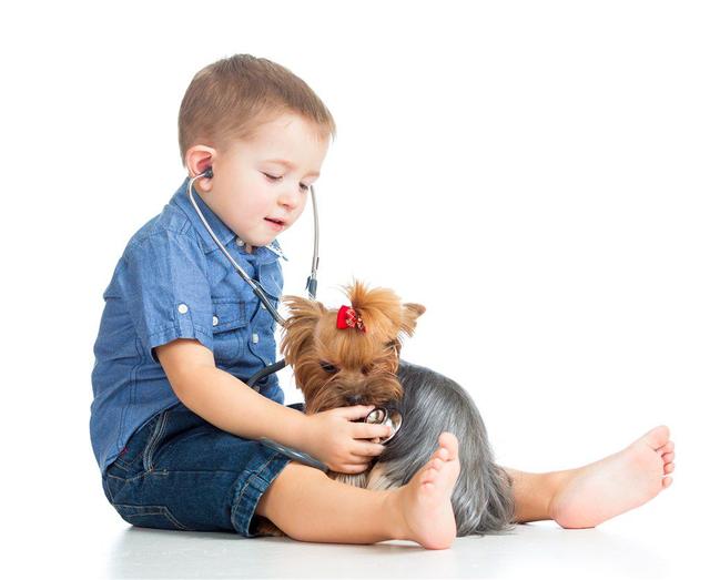 如何面对失败和挫折？这一点孩子是全世界做的最好的人！