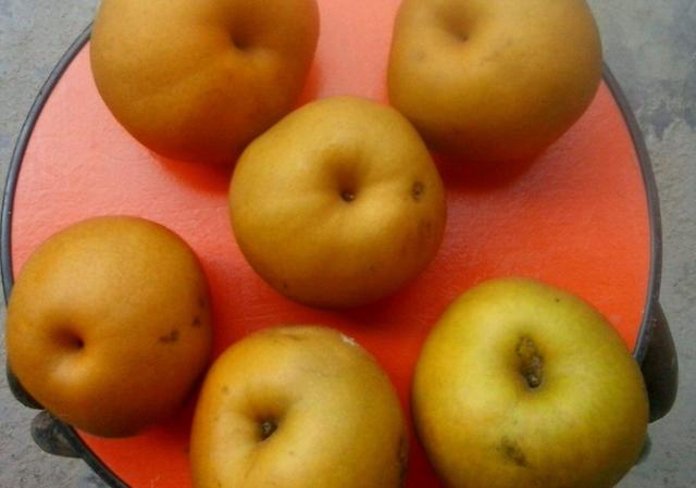 孩子的好“止咳药”在厨房，一调味品炖一水果，比药给力没副作用