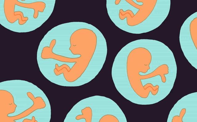 智商低就不该出生？一家初创公司的技术已经可以预测胚胎智商