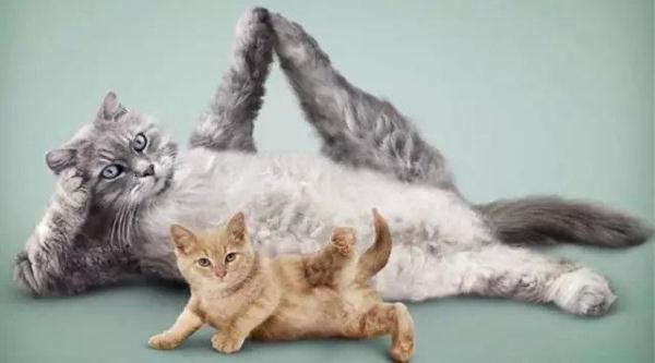 协和医生告诉你，孕期怎么完美躲过妊娠纹？