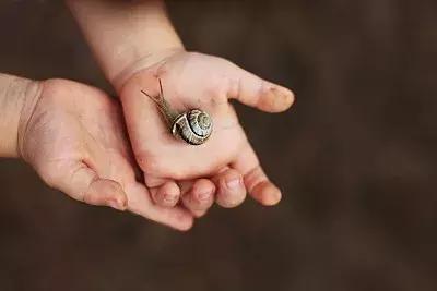 不明白这3点，就别乱责怪孩子磨蹭