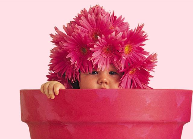 小宝宝从什么时候开始能完全看清楚妈妈的脸？没准你还真的不知道