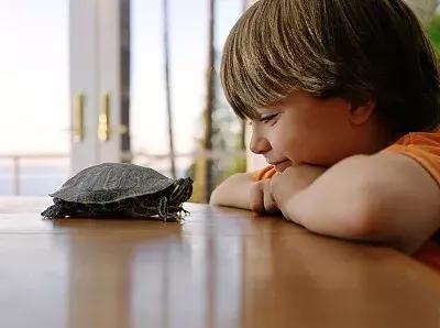 不明白这3点，就别乱责怪孩子磨蹭