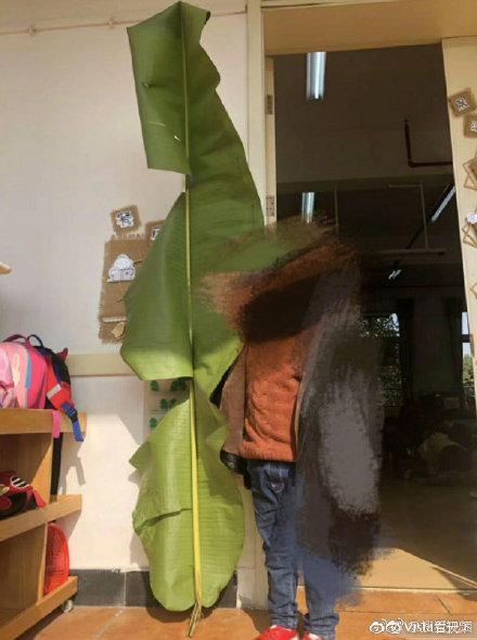 幼儿园要求收集树叶 一位小朋友抗来“芭蕉扇”