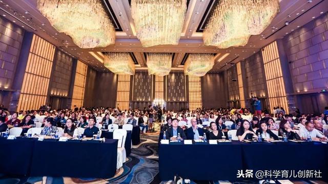 耶鲁大学教授建议父母：抓住脑发育关键期！重视基础认知能力培养