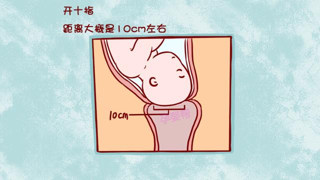 顺产时医生说的“开十指”，真的是把十根手指伸进去量？