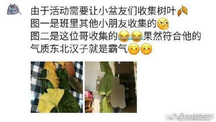 幼儿园要求收集树叶 一位小朋友抗来“芭蕉扇”