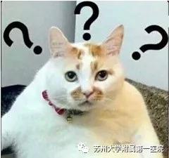 医生说我怀了个葡萄？葡萄胎！