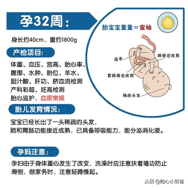 孕期产检及胎儿发育对照表（建议收藏）