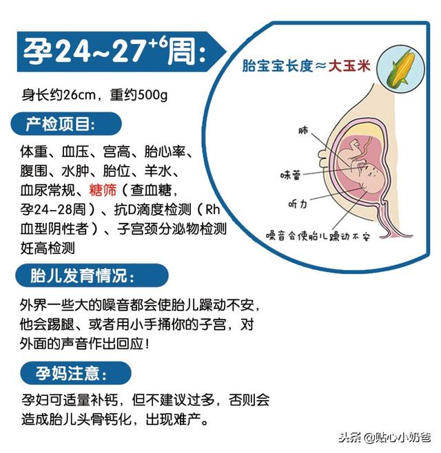 孕期产检及胎儿发育对照表（建议收藏）