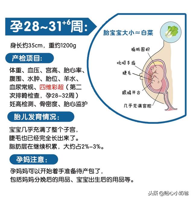 孕期产检及胎儿发育对照表（建议收藏）