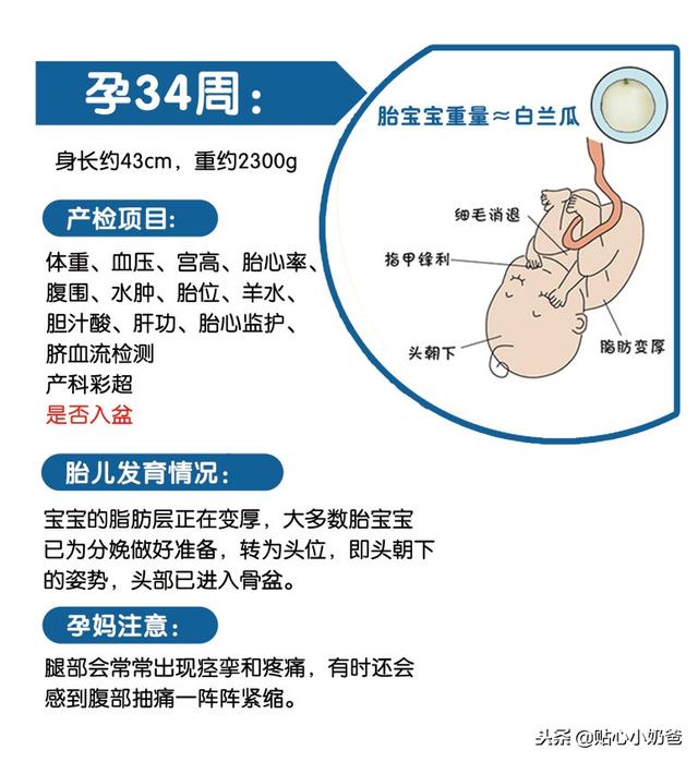 孕期产检及胎儿发育对照表（建议收藏）